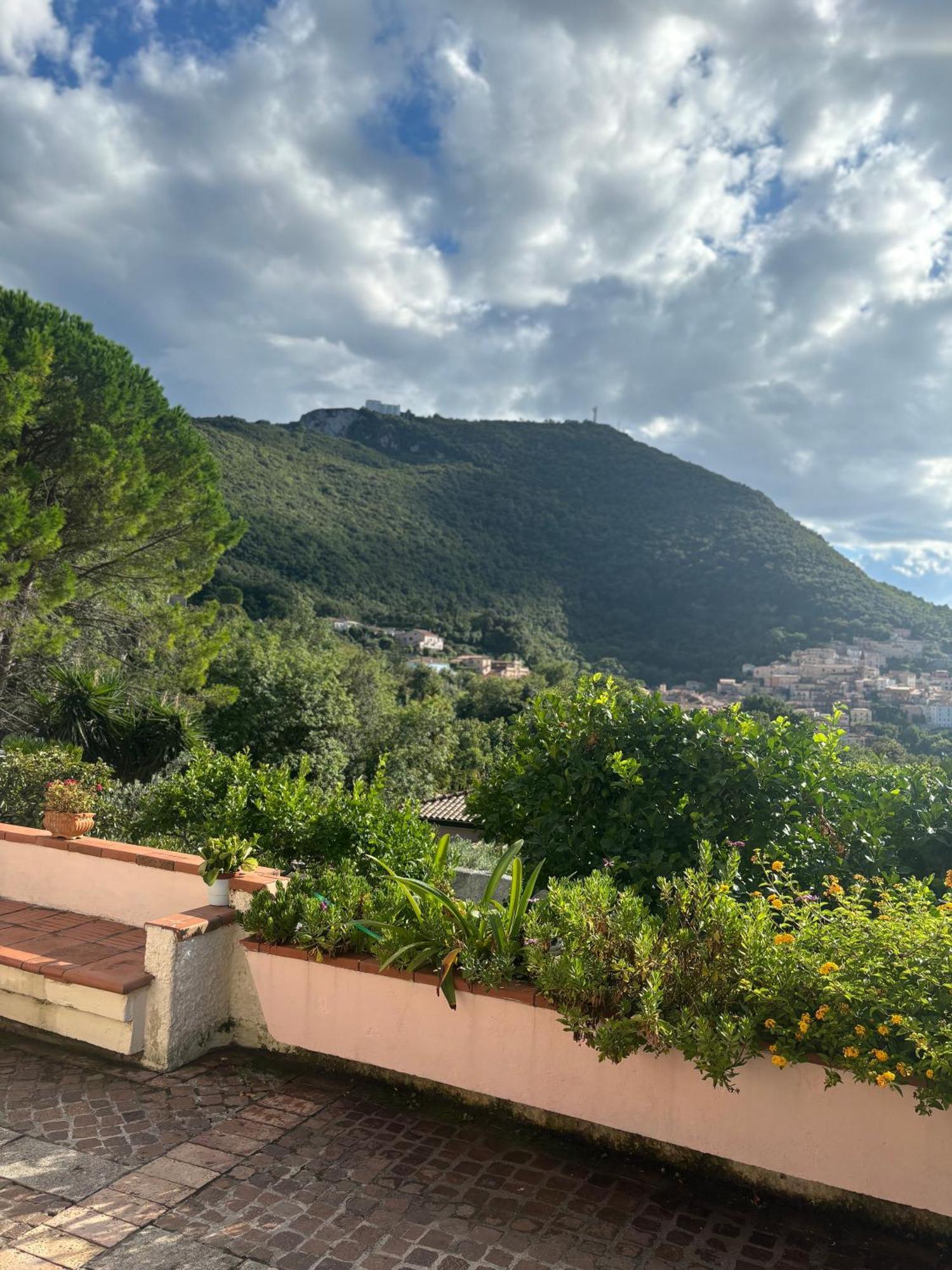 Casa Vacanze Primavera Maratea Exterior foto
